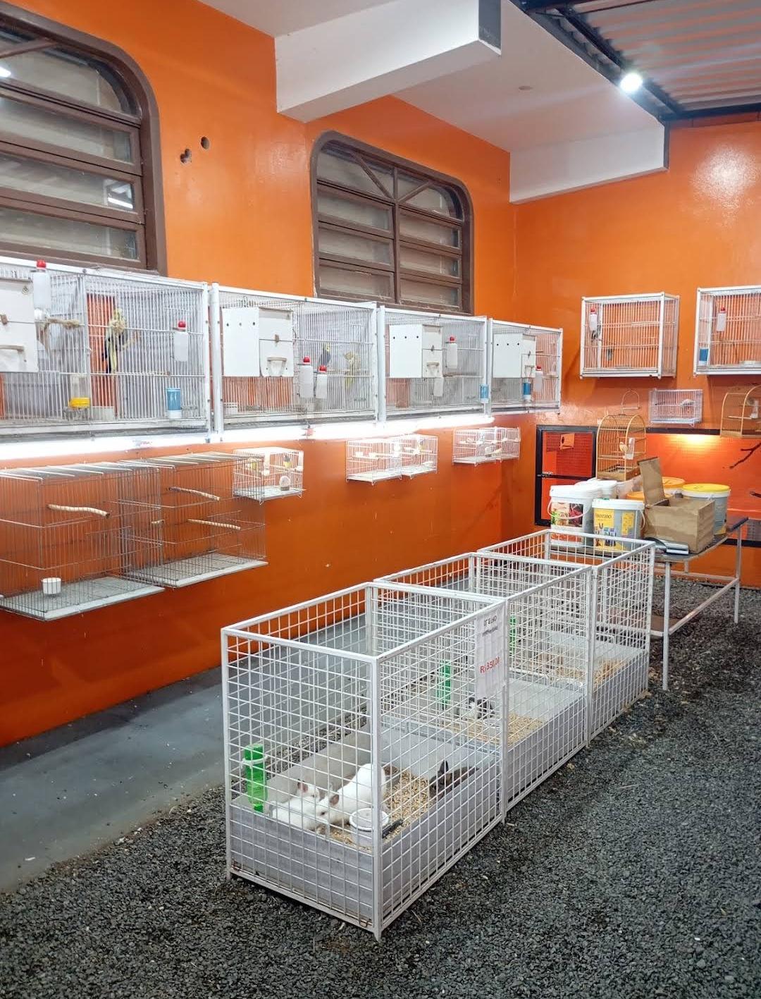 Setor de aves e pequenos animais